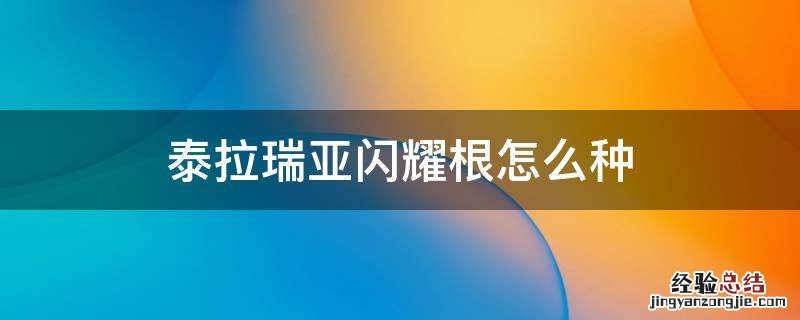 泰拉瑞亚闪耀根教程 泰拉瑞亚闪耀根怎么种