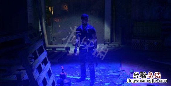 消逝的光芒2黑寡妇任务在哪接