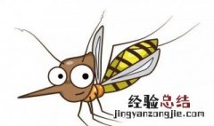 屋子里有小飞虫怎么办图片 屋子里有小飞虫怎么办