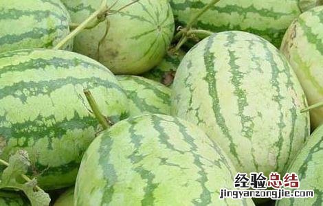 西瓜是热性还是凉性水果呢 西瓜是热性还是凉性