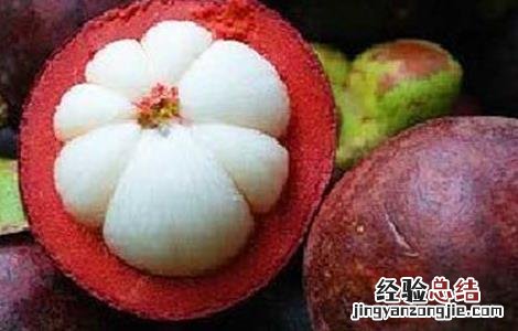 山竹为什么那么贵 山竹为什么这么贵?