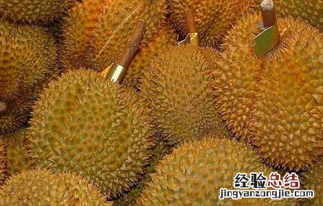 榴莲没熟打开后怎么办 金枕榴莲没熟打开后怎么办