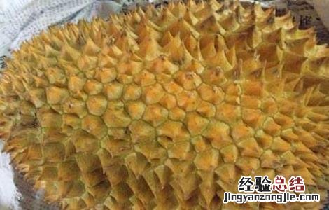 榴莲没熟打开后怎么办 金枕榴莲没熟打开后怎么办
