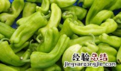 家常虎皮青椒的简单做法 家常虎皮青椒的简单做法视频