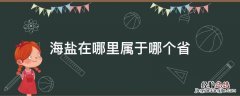 海盐在哪里属于哪个省 盐海是哪个省
