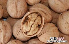 核桃什么时候成熟上市 核桃什么时候成熟
