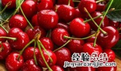 车厘子核酸检测阳性? 车厘子核酸检测阳性是什么意思