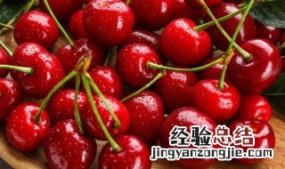 樱桃种植方法和注意事项 樱桃种植方法