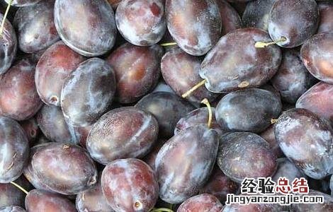 西梅产地在哪里 西梅产地在哪里吃了有什么好处