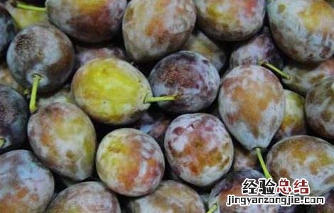 西梅产地在哪里 西梅产地在哪里吃了有什么好处