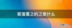 箬篷覆之的之是什么 箬篷覆之的覆是什么