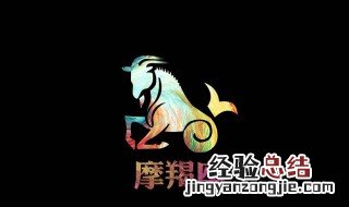 2013年12月24日是什么星座? 12月24日是什么星座?