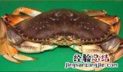 怎么杀死珍宝蟹 珍宝蟹杀法图解