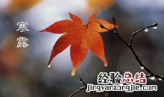 寒露有什么习俗 寒露的民间风俗是什么