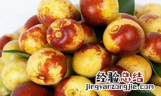 冬枣哪里产的最好吃 冬枣哪里产的最好吃最甜