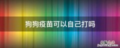 狗狗疫苗可以自己打吗 狗狗打疫苗能自己打吗