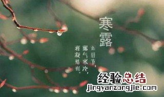 寒露的三候是什么拼音 寒露的三候是什么