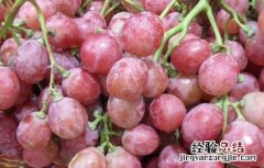 进口红提产地在哪里 红提产地在哪里