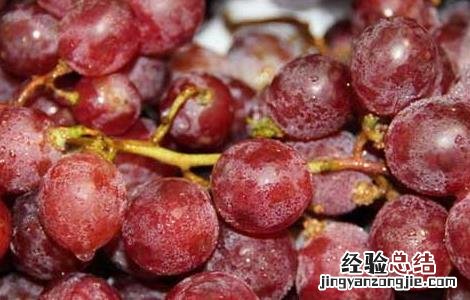 进口红提产地在哪里 红提产地在哪里