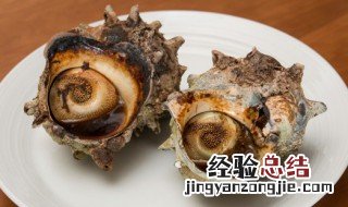 大螺要水煮多少分钟才熟呢 大螺要水煮多少分钟才熟
