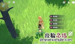 原神落落莓81个最佳采集路线 原神落落莓采集点在哪里