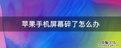 在保苹果手机屏幕碎了怎么办 苹果手机屏幕碎了怎么办