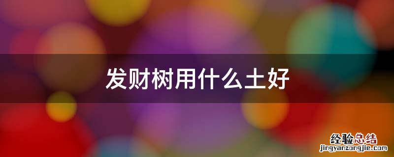 发财树用什么土好啊 发财树用什么土好