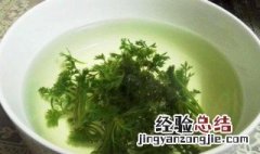 茵陈煮水喝有什么功效 茵陈煮水功效