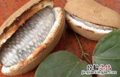八月瓜产地在哪里 八月瓜产地在哪里