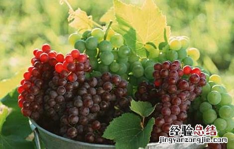 草莓是热性还是凉性 葡萄是热性还是凉性