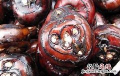 荸荠是水果还是蔬菜呀怎么个吃法呀 荸荠是水果还是蔬菜