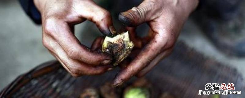 核桃水怎么洗得掉 核桃水弄到手上怎么才能洗掉