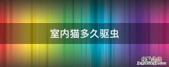 家里的猫多久驱虫 室内猫多久驱虫