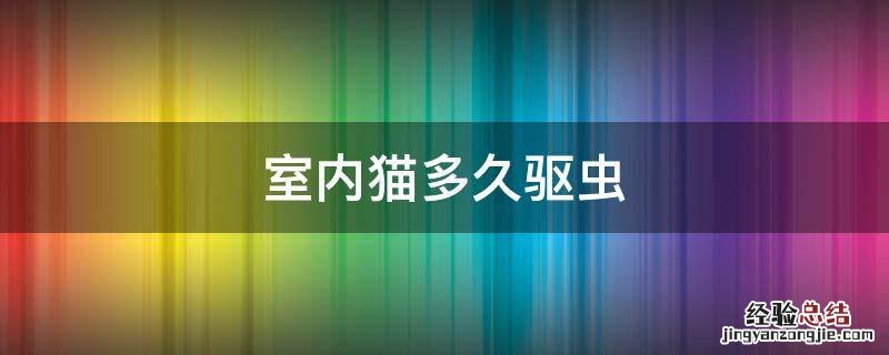 家里的猫多久驱虫 室内猫多久驱虫