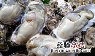 生蚝功效与作用是什么 生蚝功效与作用