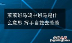 萧萧班马鸣中班马是什么意思 挥手自兹去萧萧班马鸣中班马是什么意思