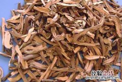 茜草生地乌发膏制作方法 茜草