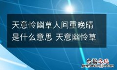 天意怜幽草人间重晚晴是什么意思 天意幽怜草,人间重晚晴什么意思