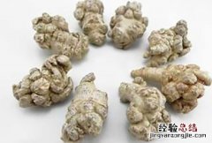 三七粉的正确吃法用量 三七