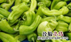 辣椒炒肉片的家常做法大全集 辣椒炒肉片的家常做法