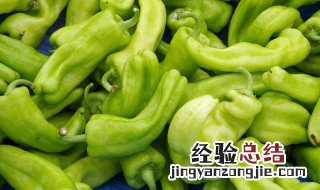 辣椒炒肉片的家常做法大全集 辣椒炒肉片的家常做法