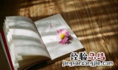 上有好者下必甚焉的意思 逢君之恶,上有好者下必甚焉的意思