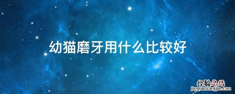 小猫磨牙用什么好 幼猫磨牙用什么比较好