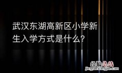武汉东湖高新区小学新生入学方式是什么？