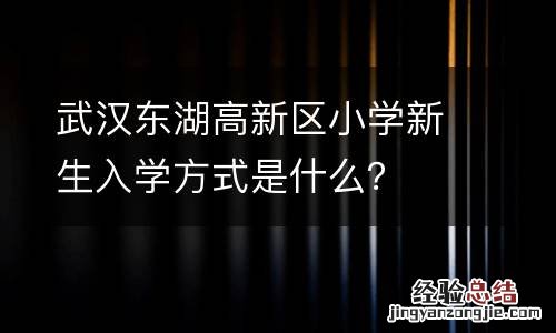 武漢東湖高新區小學新生入學方式是什麽？