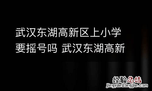 武汉东湖高新区上小学要摇号吗 武汉东湖高新区上小学要摇号吗知乎