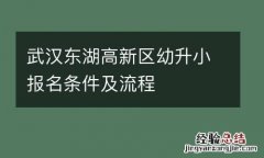 武汉东湖高新区幼升小报名条件及流程