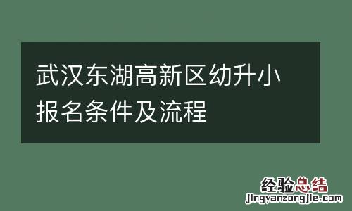 武汉东湖高新区幼升小报名条件及流程