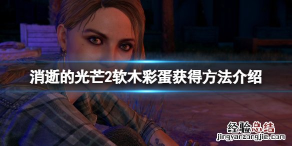 消逝的光芒2攻略 消逝的光芒2软木在哪获得