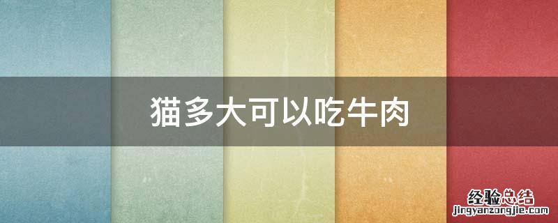 猫多大可以吃牛肉鸡肉 猫多大可以吃牛肉